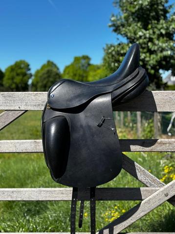 Equestor De Wispelaere beschikbaar voor biedingen