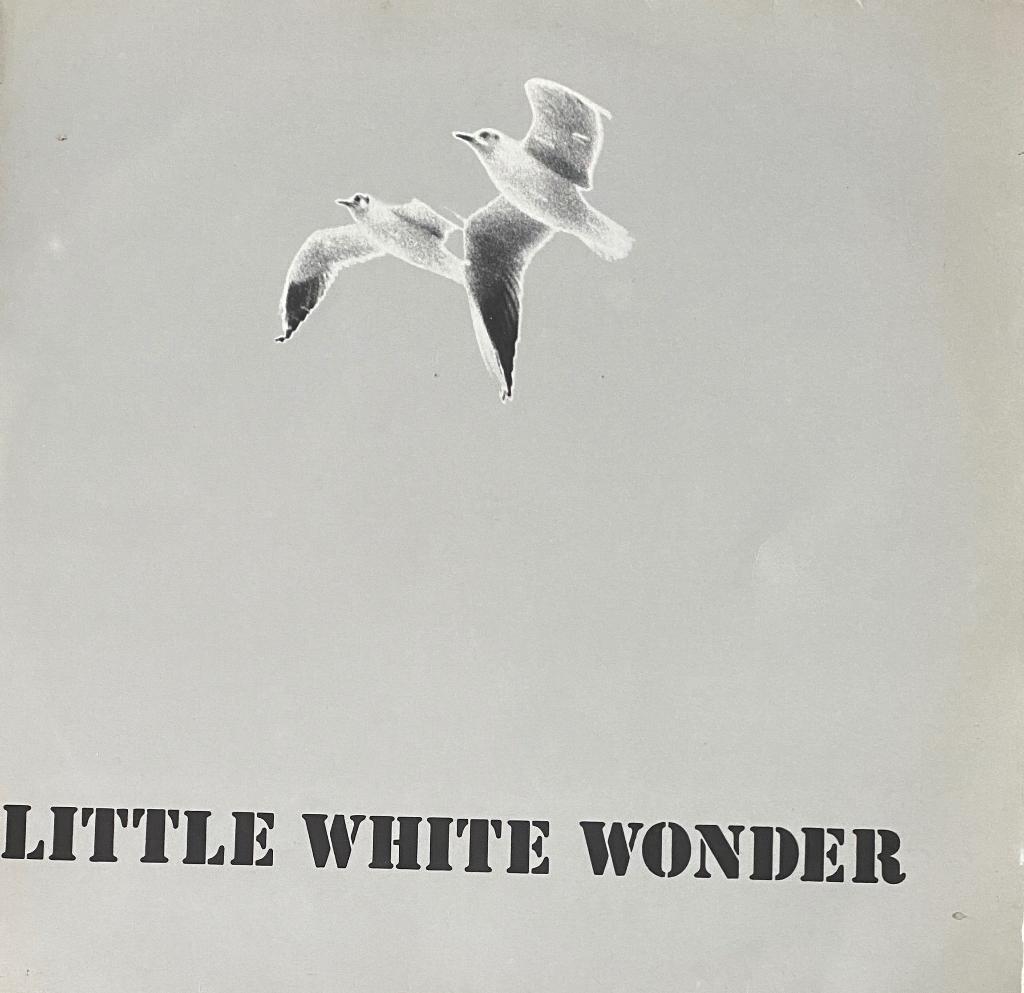 Basementsingers Sing Bob Dylan – Little White Wonder (LP), Verzenden, Gebruikt, 12 inch, Poprock