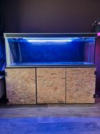 Aquarium Trofis 1.80 meter met kast en led verlichting, Dieren en Toebehoren, Vissen | Aquaria en Toebehoren, Zo goed als nieuw