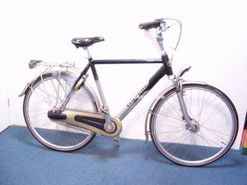 Gazelle orange  (3688) beschikbaar voor biedingen