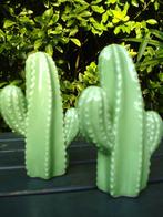 CACTUSSEN Keramiek, Ophalen of Verzenden, Zo goed als nieuw
