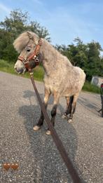 Hv polo halster, Dieren en Toebehoren, Ophalen, Zo goed als nieuw, Overige soorten