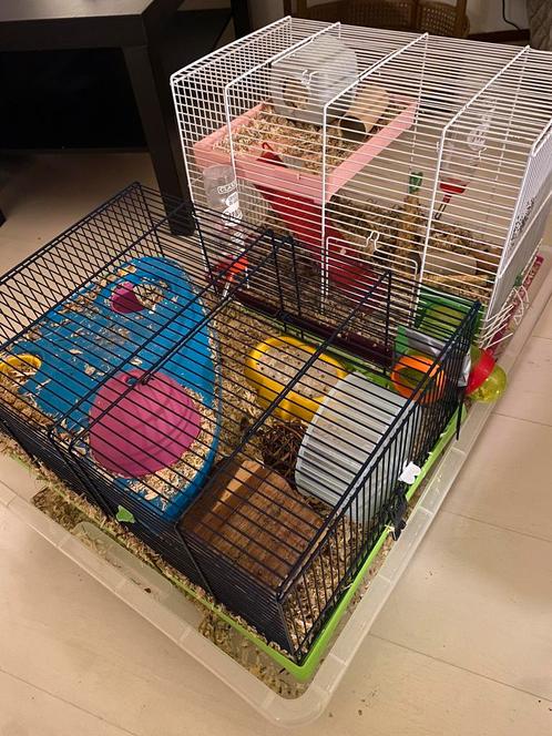Grote dubbele hamsterkooi inclusief toebehoren, Dieren en Toebehoren, Knaagdieren en Konijnen | Hokken en Kooien, Kooi, Minder dan 60 cm
