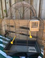 Mooi gebruikte vogelkooi met een nest en toebehoren te koop, Ophalen, Gebruikt, Metaal, Vogelkooi