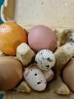 paaseieren echte leeg, Ophalen of Verzenden, 'T Olde Gre-j, Info@toldegrej.nl, Endepoelstraat 20f Didam