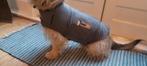 Thunder shirt, Ophalen, Zo goed als nieuw, Hondenshirt