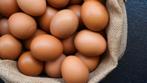 Vrije uitloop eieren  10 stuks  € 2.99, Ophalen of Verzenden
