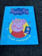 Neville Astley - Peppa Pig - Groot voorleesboek, 3 tot 4 jaar, Ophalen of Verzenden, Zo goed als nieuw, Neville Astley
