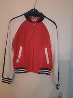 Jasje Tommy Hilfiger xs, Ophalen, Gebruikt, Maat 176