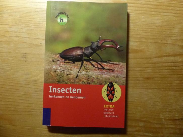 Gunter Steinbach Insecten veldgids Heiko Bellmann, Boeken, Natuur, Zo goed als nieuw, Ophalen of Verzenden