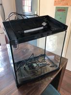 25 liter aquarium met filter, warmte element en lamp, Dieren en Toebehoren, Vissen | Aquaria en Toebehoren, Ophalen, Zo goed als nieuw