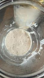 Zuurdesumstarter t65, Ophalen