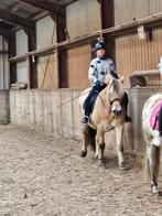 Bijrijder/verzorger aangeboden, Ophalen of Verzenden