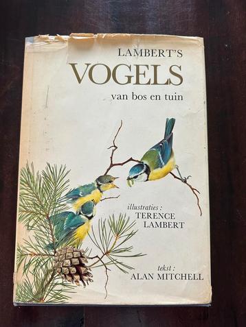 Lambert’s Vogels van bos en tuin – T. Lambert & A. Mitchell beschikbaar voor biedingen