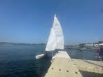 hobie 16 catemaran, Ophalen, Gebruikt, Overige typen, 15 tot 30 m²