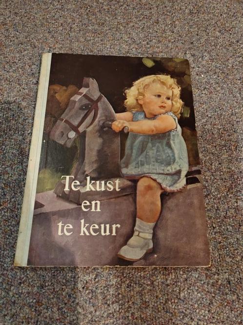 Te kust en te keur, Boeken, Hobby en Vrije tijd, Gelezen, Overige onderwerpen, Ophalen of Verzenden