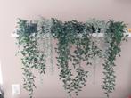 6x IKEA Fejka Hangplant 9cm - 70cm lang, Ophalen of Verzenden, Zo goed als nieuw, Binnen