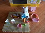 Sylvanian families picknicksetje/babykat compleet/doos, Ophalen of Verzenden, Zo goed als nieuw, Poppenhuis