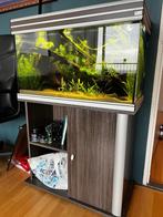 Aquatlantis 80cm Aquarium, Dieren en Toebehoren, Vissen | Aquaria en Toebehoren, Ophalen, Gebruikt, Leeg aquarium