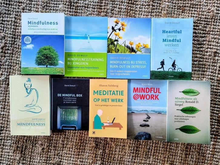 9 boeken mindfulness Dewulf Salzberg Siegel Prins ZGAN, Boeken, Psychologie, Zo goed als nieuw, Ophalen of Verzenden