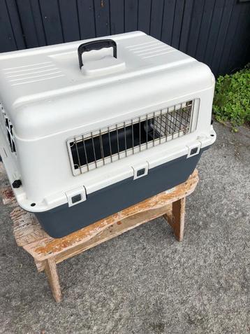 Reismand, vervoerbox, transportbox beschikbaar voor biedingen