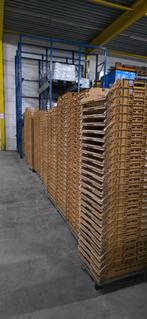 Gebruikte Broodkratten - Stapelbaar, Ophalen