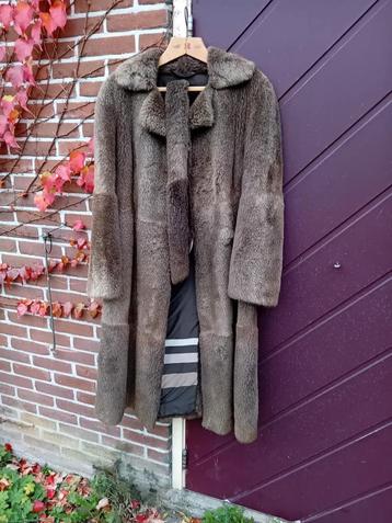 Echte bontjas mt 40 beschikbaar voor biedingen