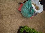 Gratis Geel (bestrating) zand in grote zak, Tuin en Terras, Zand, Ophalen, Ophoogzand