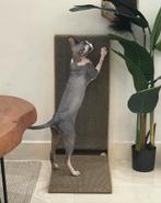 Krabplank voor katten, Dieren en Toebehoren, Katten-accessoires, Ophalen of Verzenden, Nieuw