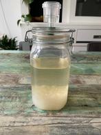 Biologische waterkefir, Diversen, Levensmiddelen, Ophalen