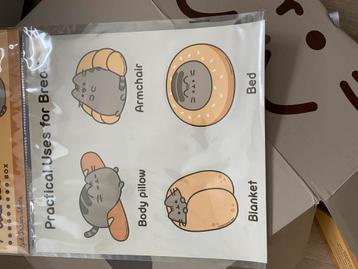 Pusheen box beschikbaar voor biedingen
