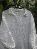 dames kleding grote maat, Dreamstar, Verzenden, Gedragen, Blouse of Tuniek