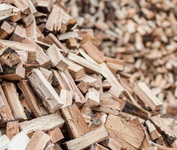 aanmaakhout/brandhout beschikbaar voor biedingen
