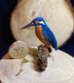 Wolsculptuur ijsvogel, Verzenden, Nieuw, Figuurtje(s)