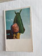 MEISJE MET PAARD  (FRUIT  GROENTE)  1959, Verzamelen, Ansichtkaarten | Themakaarten, Ophalen of Verzenden