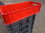 Glasbak kunstof opslag vervoer 50 glazen, Doe-het-zelf en Verbouw, Kratten en Dozen, Ophalen, 40 tot 60 cm, Krat, Minder dan 35 cm