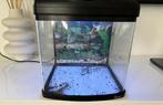 Aquarium, Dieren en Toebehoren, Vissen | Aquaria en Toebehoren, Ophalen of Verzenden, Zo goed als nieuw, Verlichting of Verwarming