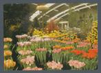 Bovenkarspel - Westfriese Flora,, Verzenden, Gelopen, Noord-Holland