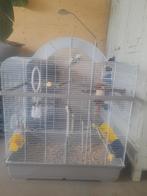 Grote vogelkooi, inklapbaar, Ophalen of Verzenden, Zo goed als nieuw, Metaal, Vogelkooi