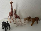Set met 6 schleich dieren, Ophalen of Verzenden, Zo goed als nieuw, Beeldje of Figuurtje