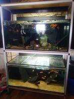 4 aquaria +-200 liter per aquarium, Dieren en Toebehoren, Gebruikt, Ophalen of Verzenden, Leeg aquarium