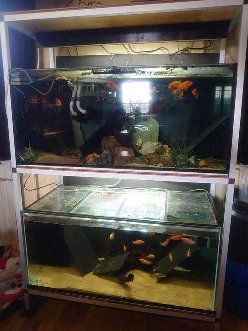4 aquaria +-200 liter per aquarium, Dieren en Toebehoren, Vissen | Aquaria en Toebehoren, Gebruikt, Leeg aquarium, Ophalen of Verzenden