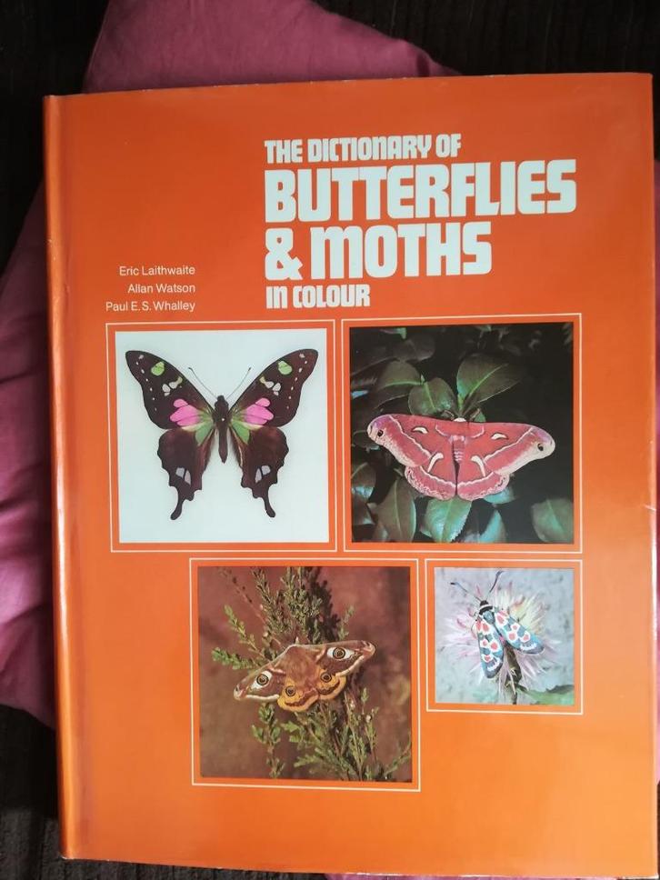 The dictionary of BUTTERFLIES & MOTHS in colour, Boeken, Encyclopedieën, Zo goed als nieuw, Overige onderwerpen, Ophalen of Verzenden