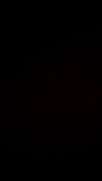 Verzorg paard gezocht, Dieren en Toebehoren, Ophalen