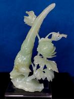 Jade Paradijsvogel, Verzenden