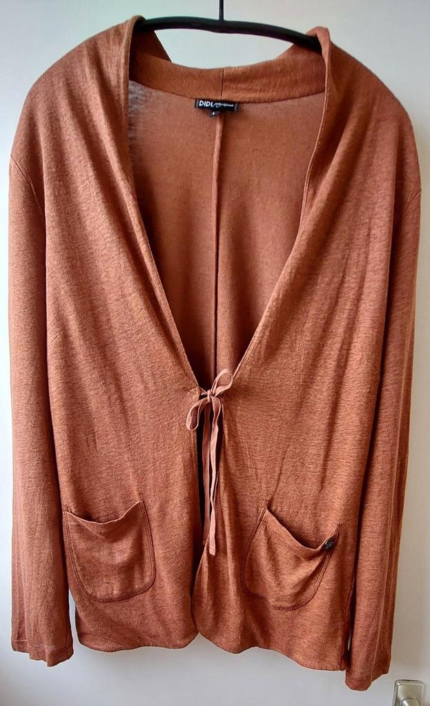 Didi vestje / jasje 100% linnen maat L, Kleding | Dames, Truien en Vesten, Zo goed als nieuw, Maat 42/44 (L), Bruin, Ophalen of Verzenden