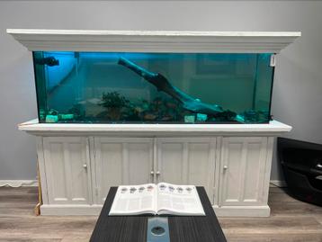 600 litet aquarium alles inbegrepen pomp/flow/filterbak beschikbaar voor biedingen