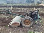 Sterke Adriatica tuinfrees, Ophalen, Gebruikt, Overige soorten