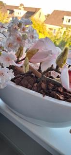 Kunstbloemen top kwaliteits met gevulde schaal, Huis en Inrichting, Woonaccessoires | Vazen, Ophalen, Steen, Overige kleuren, Zo goed als nieuw