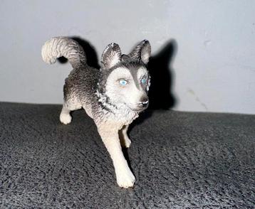 Schleich husky beschikbaar voor biedingen